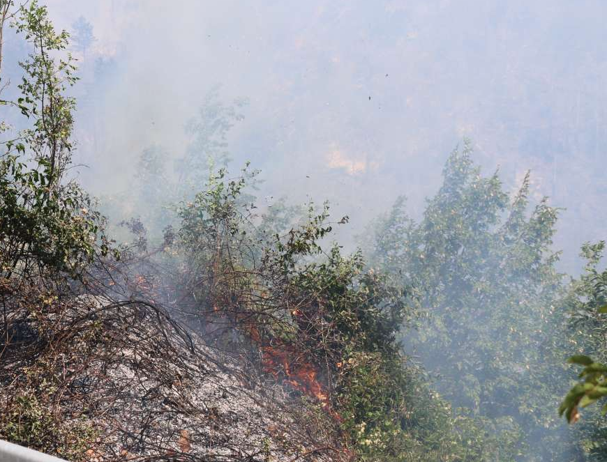 Više požara u Zapadnohercegovačkom kantonu, opožareno oko 20 hektara