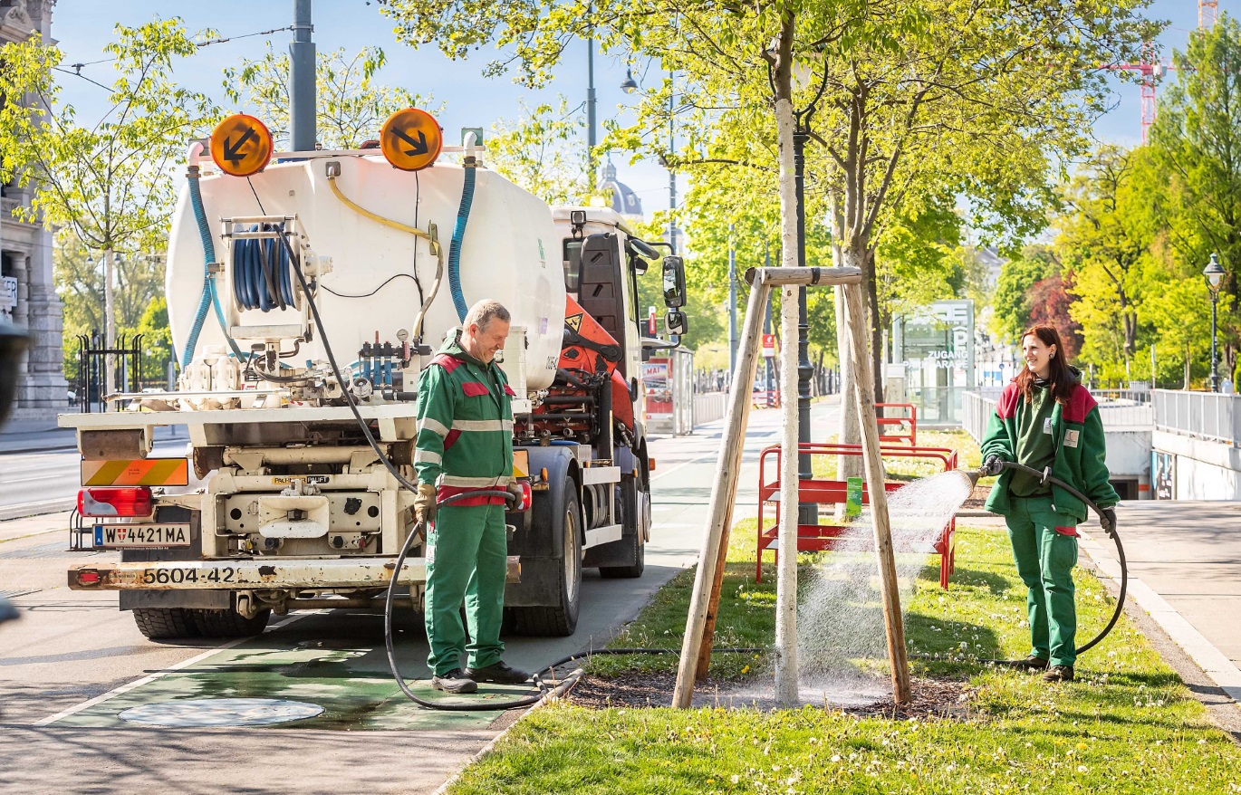 400.000 litara vode dnevno za očuvanje mladih stabala u Beču