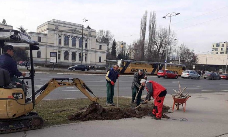 Akcijom sadnje drveća Sarajevo se priključuje 'Unsmoke' inicijativi