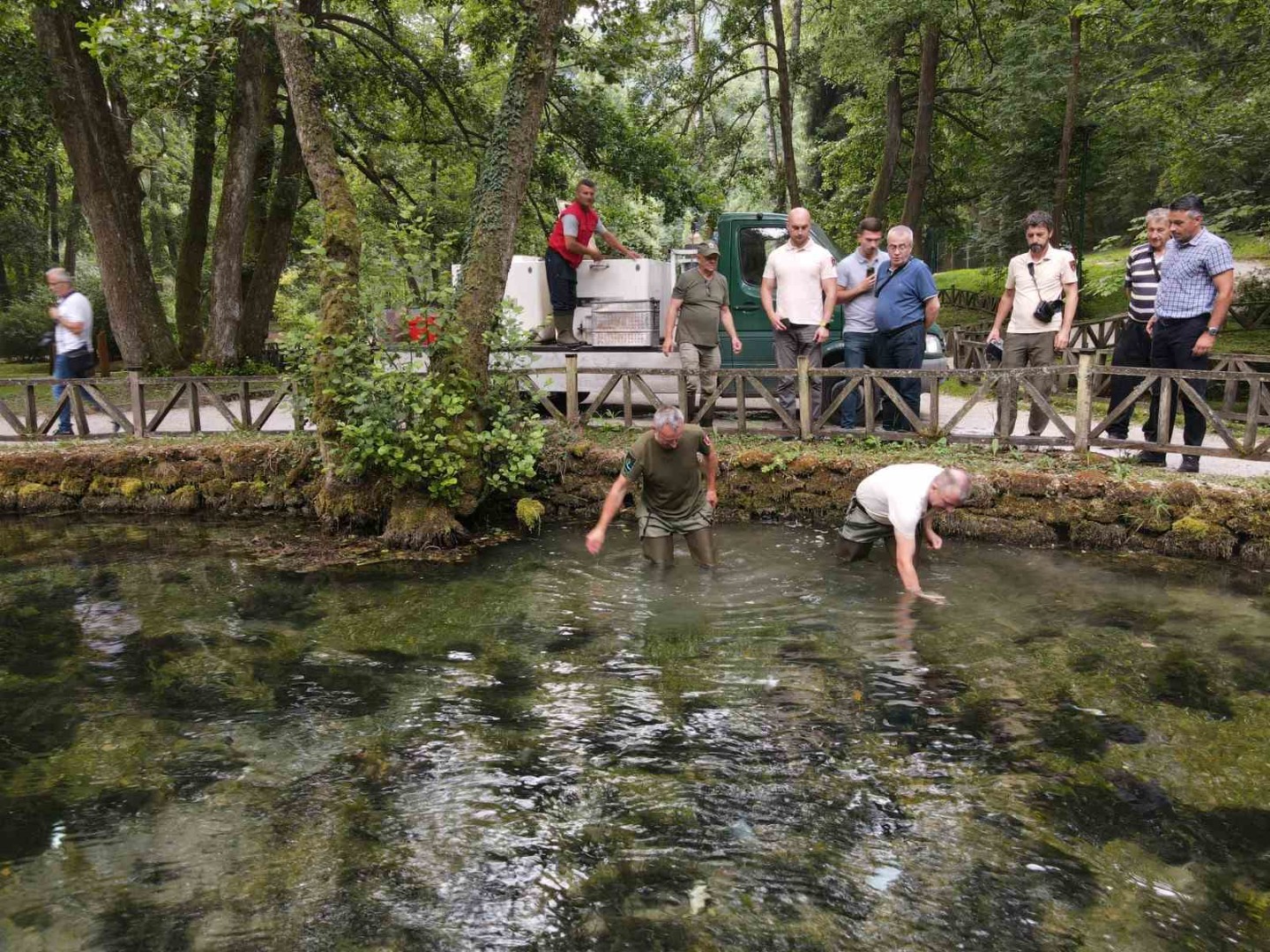 Autohtona potočna pastrmka ponovo na Vrelu Bosne