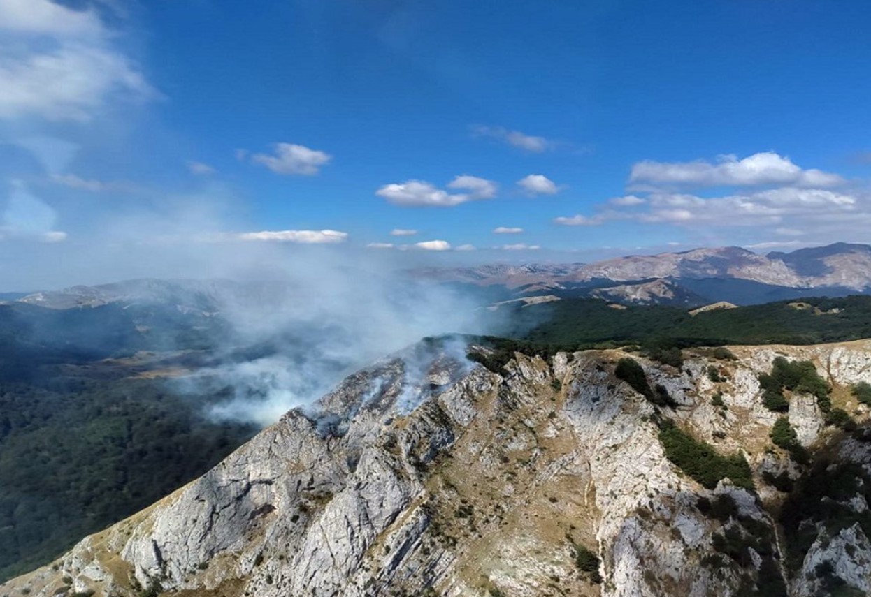 BiH će zbog požara zatražiti pomoć Srbije, Hrvatske i Crne Gore