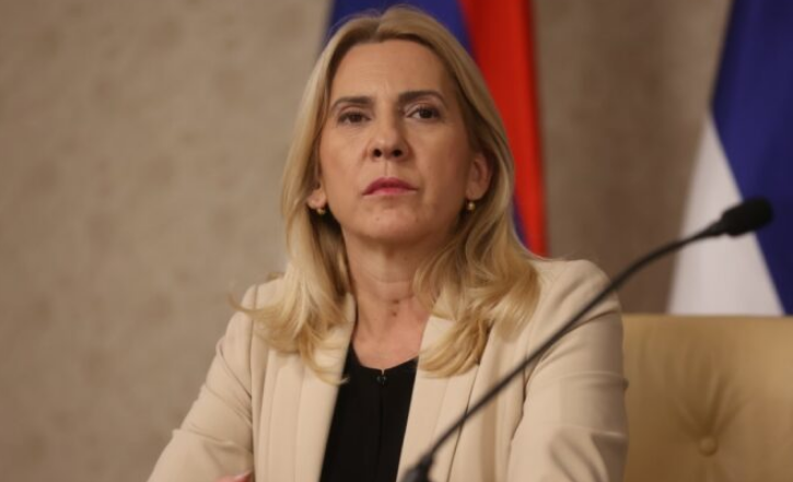 Cvijanović: Nije bilo potpisivanja bilo kakvog dokumenta EU