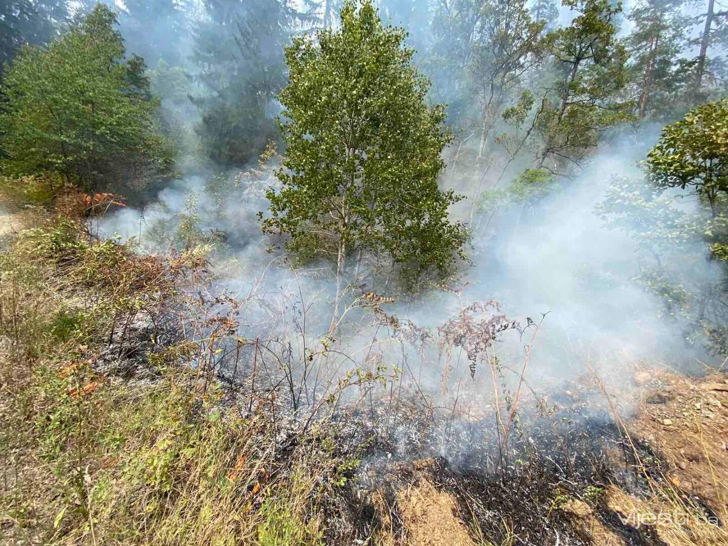 FOTO&VIDEO / Požar kod Kladnja i dalje aktivan, ali pod kontrolom