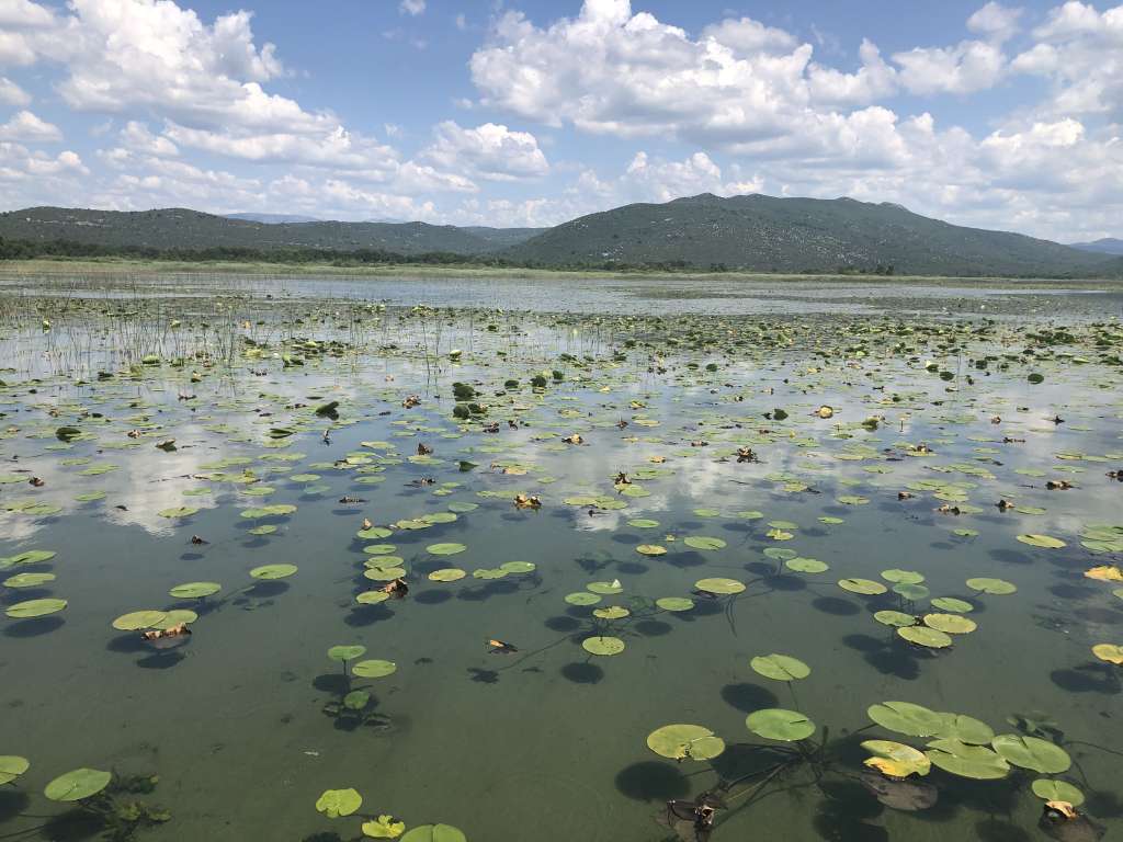 Hutovom blatu prijete presušivanje, zaraštavanje i požari