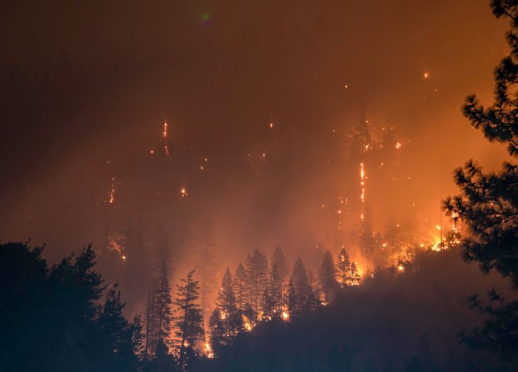 Situacija sa požarima u Grčkoj sve teža, pomažu joj Turska i EU