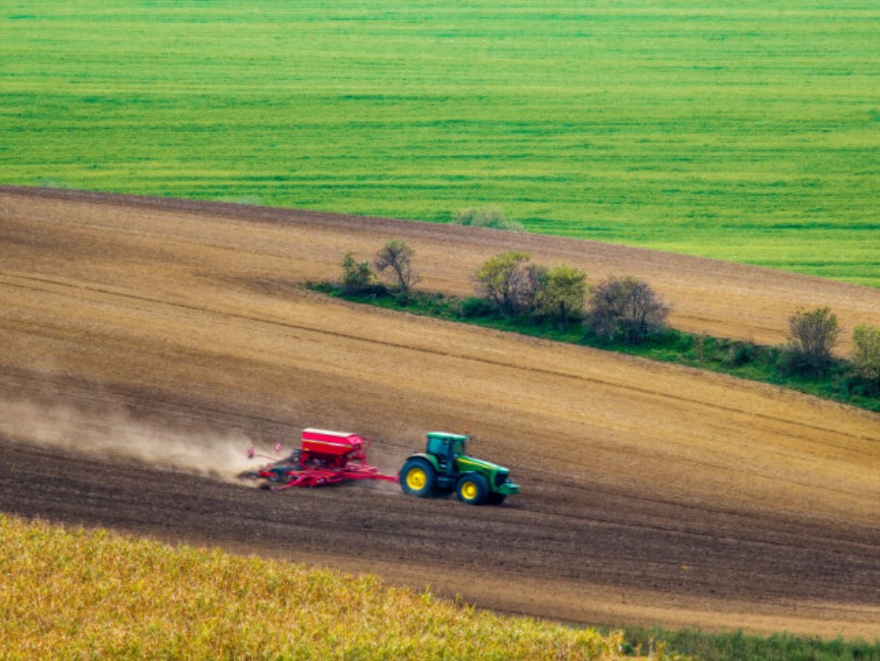 Klimatske promjene ugrožavaju najvažnije svjetske usjeve