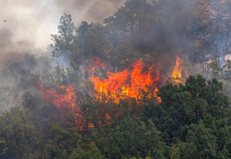 Najgori požari u Turskoj ove godine: Gore domovi, ljudi bježe...