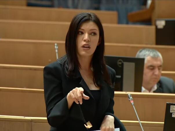 Nevjerovatno, ali istinito: Vulić pozvala OSCE da joj se izvini zbog reakcije