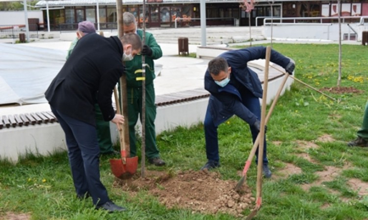 Općina Centar: Sadnjom drveća obilježen Dan planete Zemlje