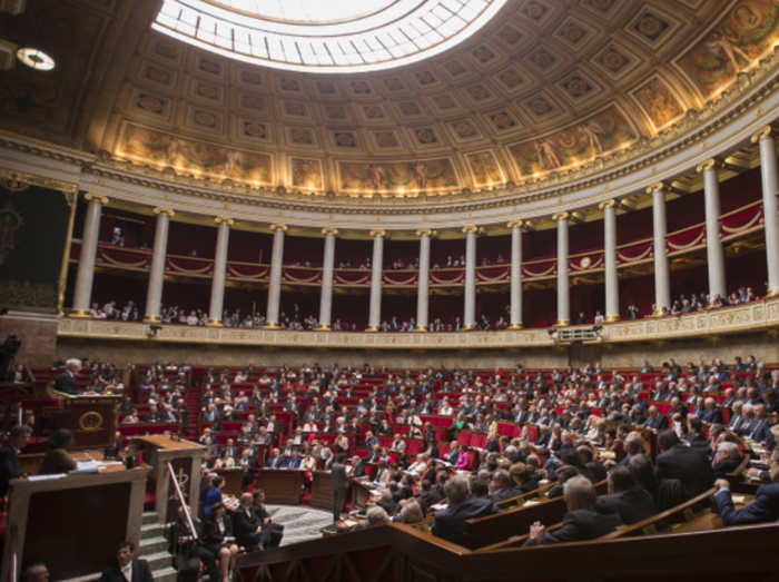 Pala francuska vlada, Parlament izglasao nepovjerenje