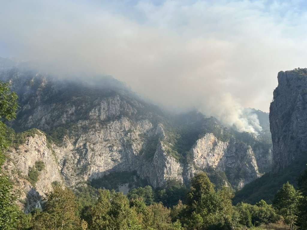 Pod kontrolom požar na Tjentištu