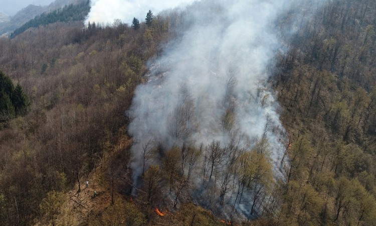 Policija ZDK identifikovala deset osoba koje se sumnjiče da su izazvala požare