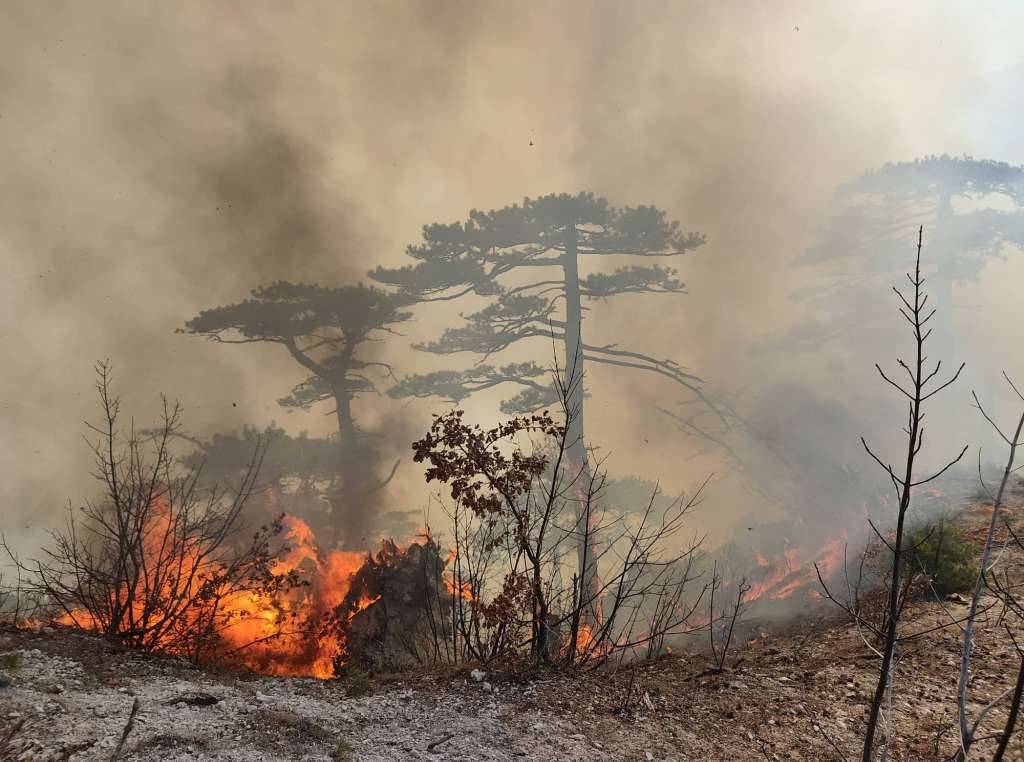 Požar kod Mostara: Težak teren, vjetar i visoke temperature