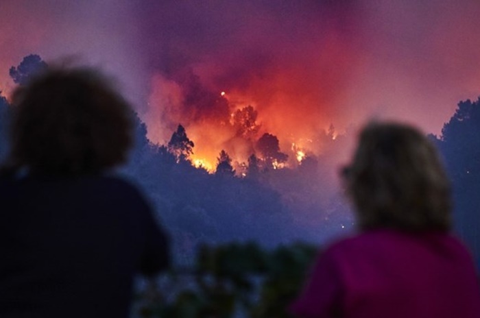 Požari bijesne širom Portugala: Evakuisana sela, zatvorene ceste...