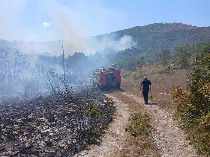 Požari u selima kod Bileće i dalje aktivni: Vatrogasci cijelu noć gasili vatru