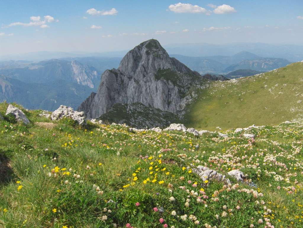 Razmjere ružnog odnosa prema bh. šumama teško je opisati