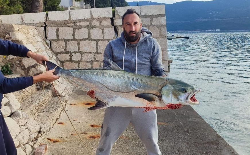 Ribolovac u Neumu ulovio 'zvijer' tešku 30 kg: Sat vremena smo je vadili