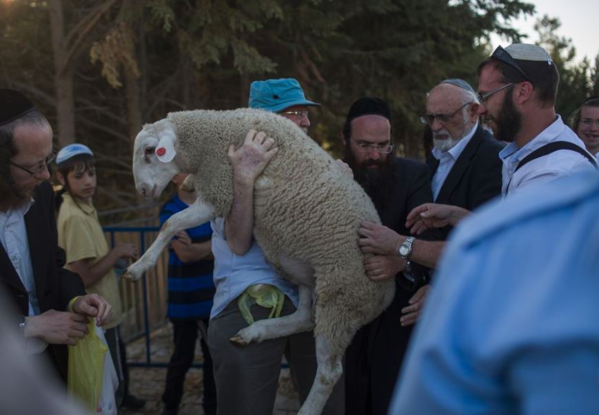 Skandalozno: Izraelci zabranili klanje kurbana u Jerusalemu