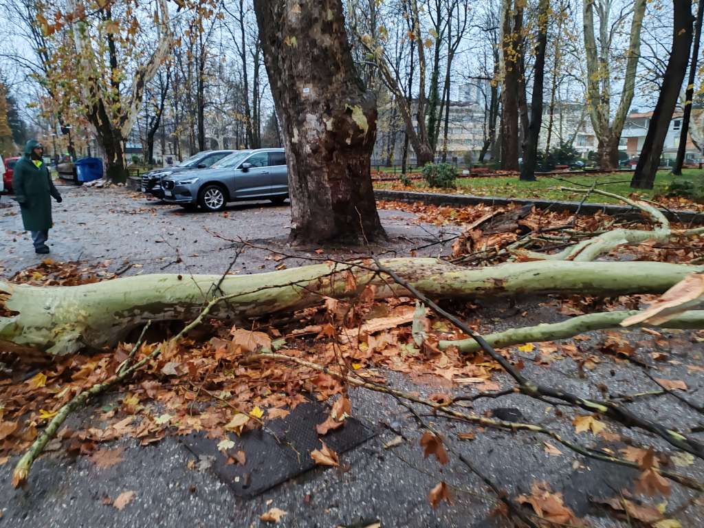 Snažan vjetar u Bihaću, polomljena stabla i oštećeni saobraćajni znakovi