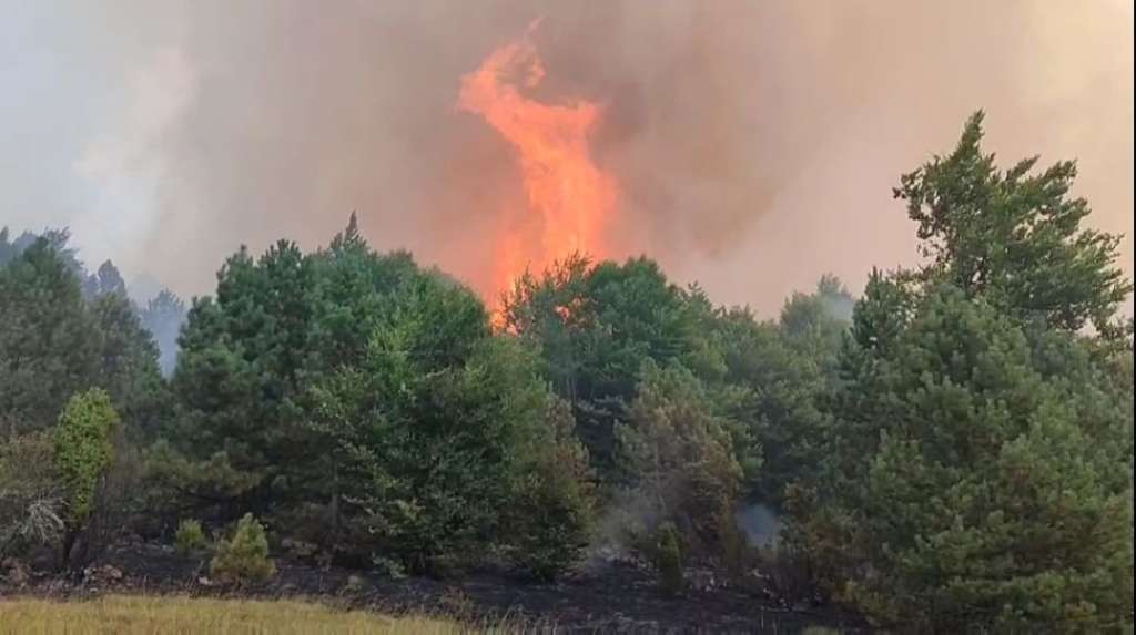 Stolac: Požar u Gornjem Hodovu trenutno ne prijeti kućama