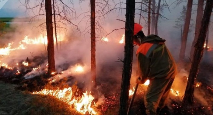 Šumski požari u Rusiji zahvatili više od 165.000 hektara