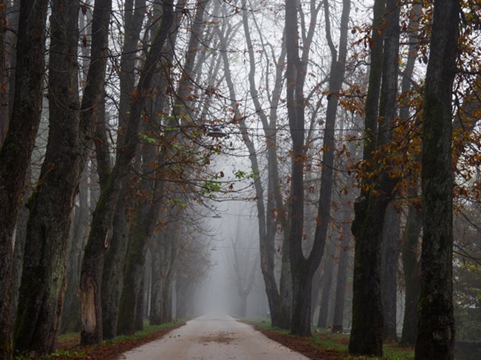 Sutra magla i niska oblačnost širom Bosne, u jutarnjim satima minusi