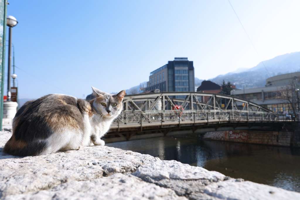 Sutra u BiH pretežno oblačno, tokom dana razvedravanje