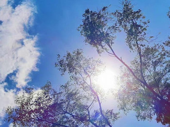 Sutra u većem dijelu Bosne prijepodne magla, tokom dana sunčano