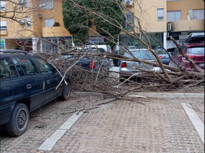 U Crnoj Gori orkanski udari vjetra; U Nikšiću i na Žabljaku iz snijega spašeno 14 osoba