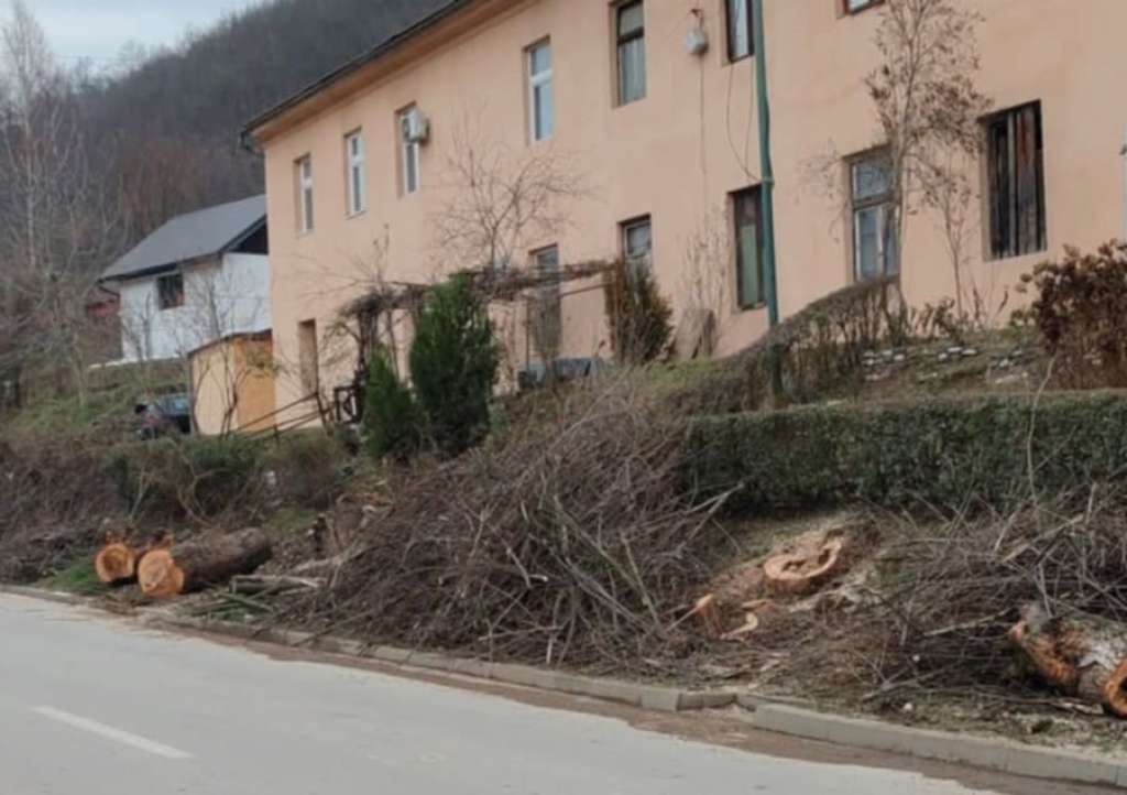 U Goraždu uklonjena oboljela i trošna stabla