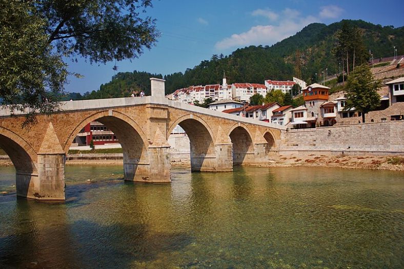 U Konjicu zabilježena čak tri ugriza zmija u samo jednom danu