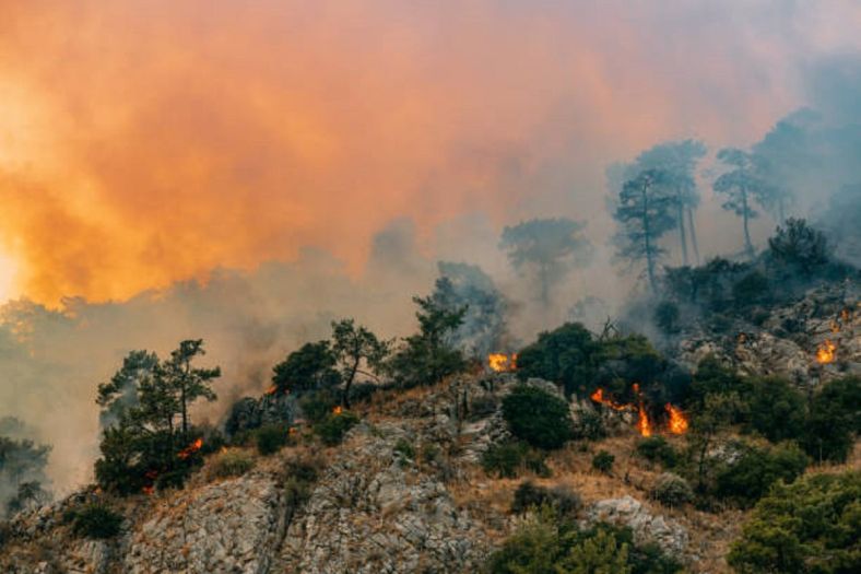 Veliki požari u Grčkoj, vatra došla nadomak Atine