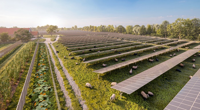 "Wien Energie": Rekordna ekspanzija solarne energije